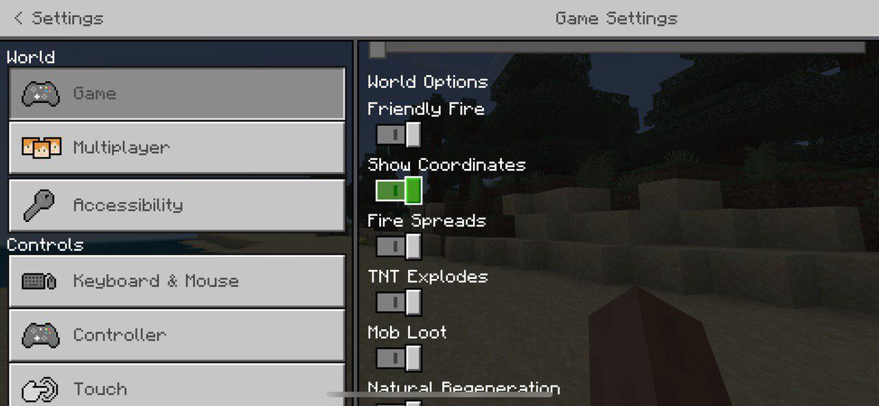 Show coordinates on Bedrock servers - Aternos