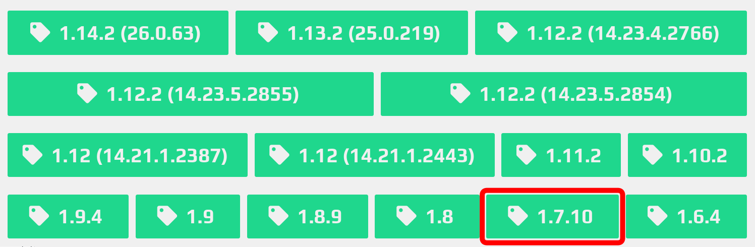 Version 1.7.10 highlighted in version list
